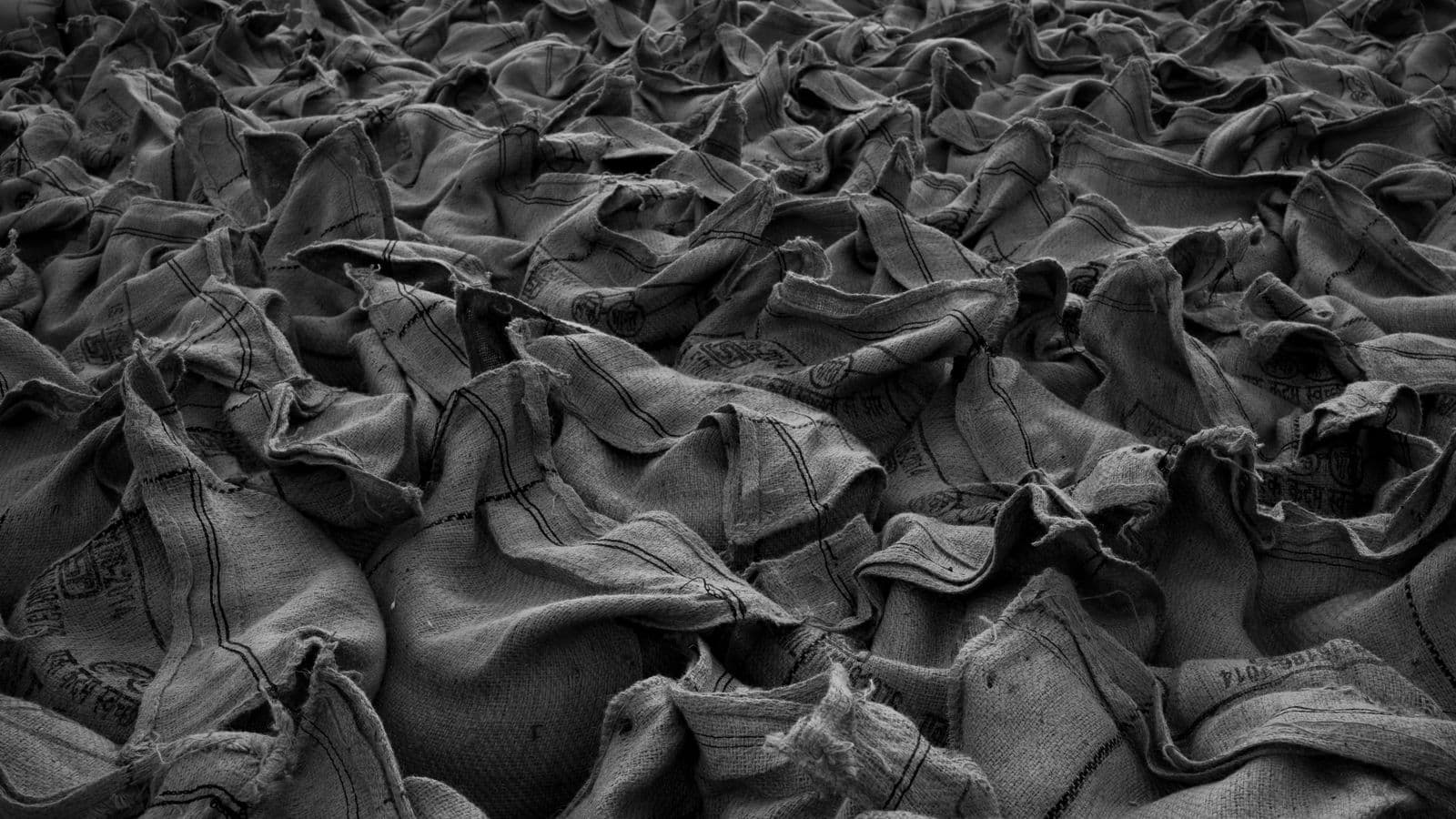 A dense field of filled woven sacks stacked in a store, photographed in monochrome.